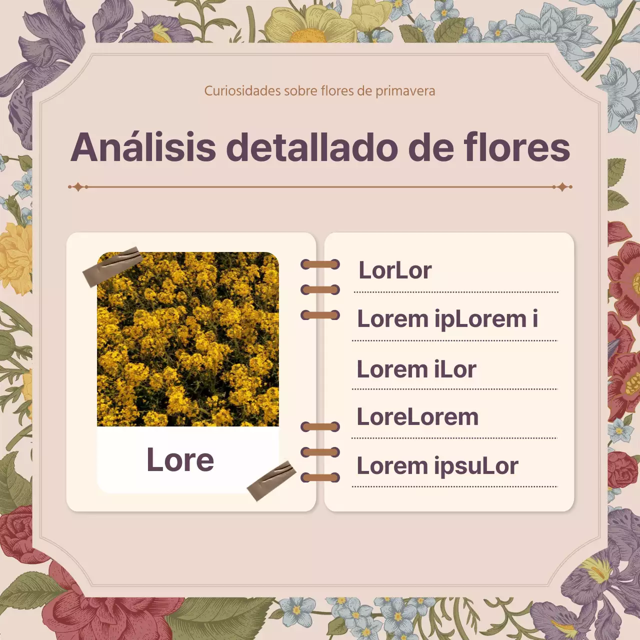 Concepto de la flor de la primavera de la flor rosada del vintage concepto completo