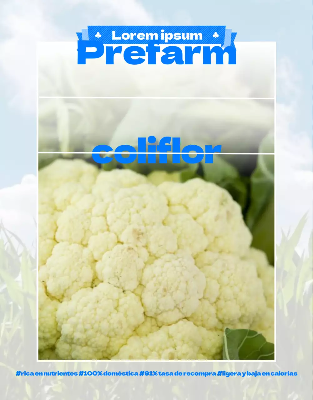 Guía de una granja de coliflores con una simpática ilustración azul y verde