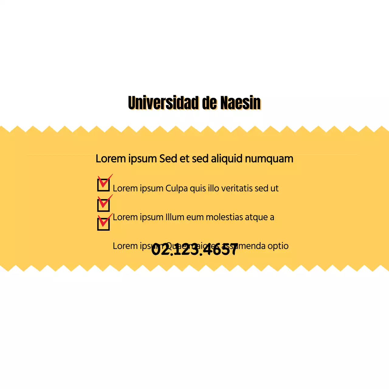 Universidad de Naesin