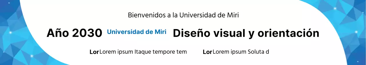 43125_Università Otti