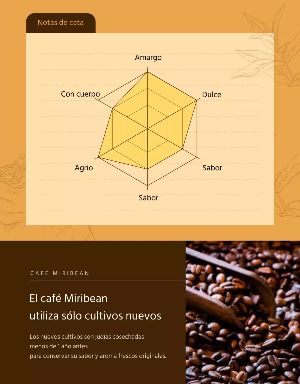 Página detallada de las judías negras