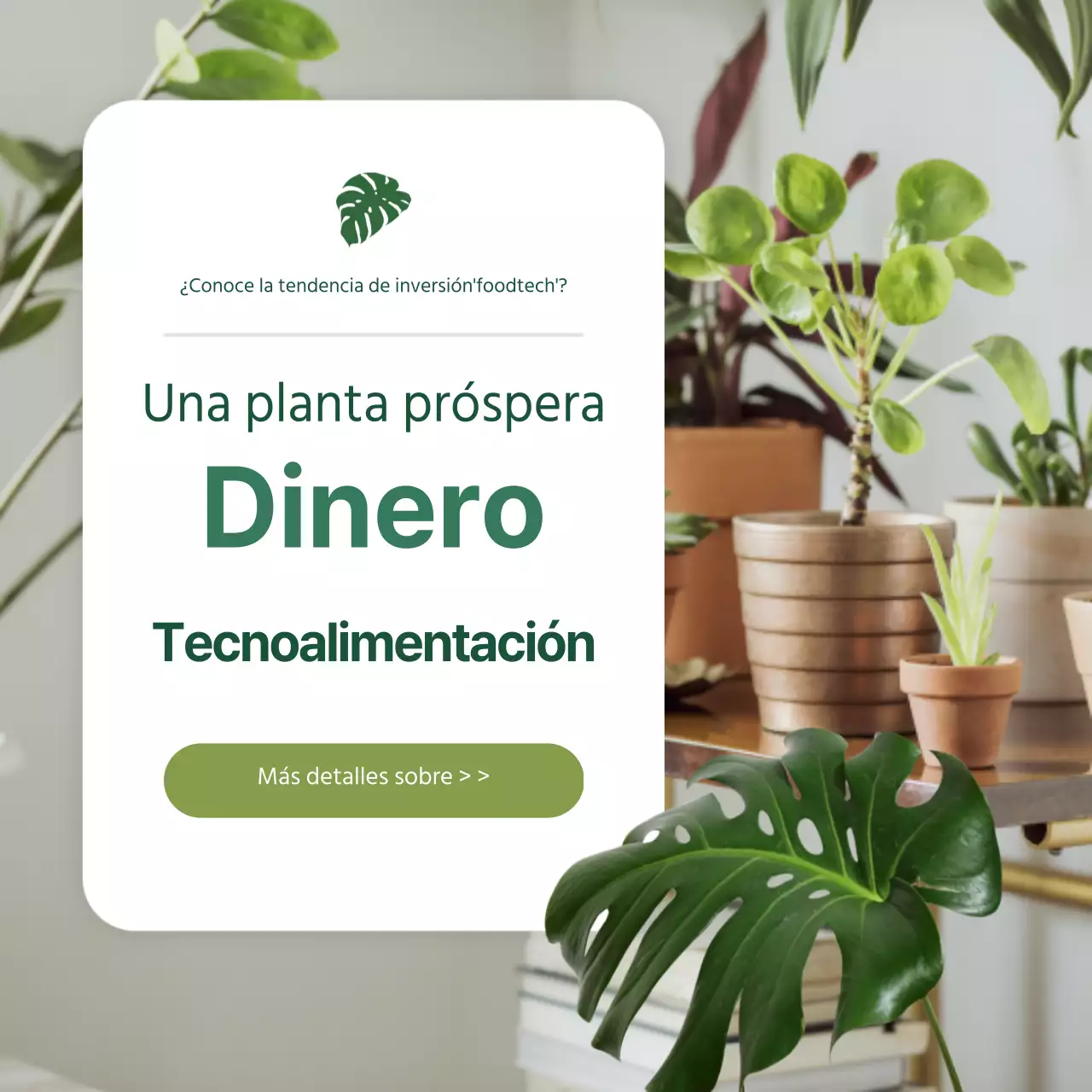 Noticias sobre tecnología alimentaria con un toque ecológico