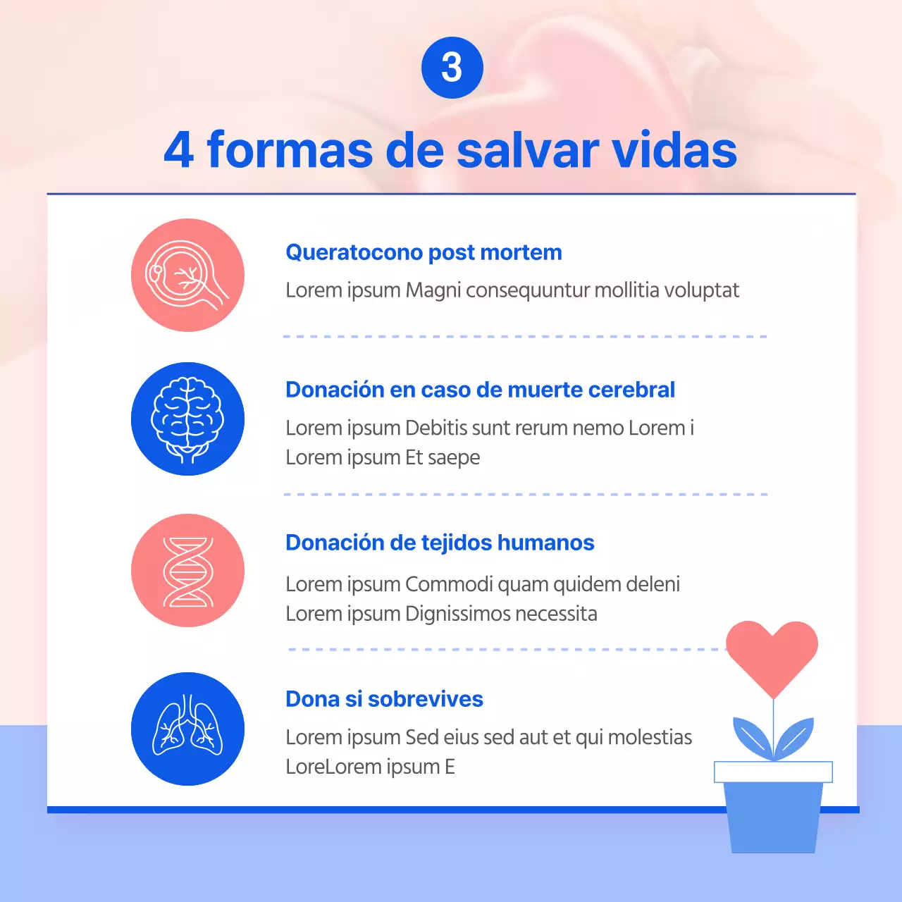Día de la Donación de Órganos Campaña de Donación de Órganos Donación de órganos, el hermoso regalo de una segunda vida.