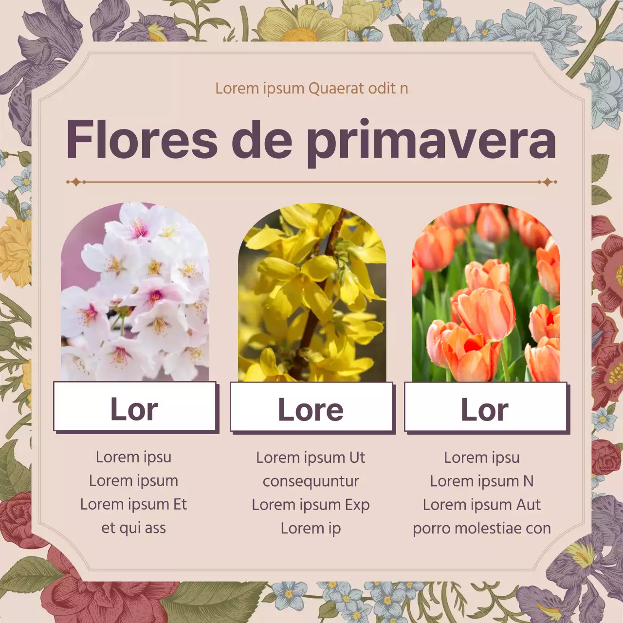 Concepto de la flor de la primavera de la flor rosada del vintage concepto completo