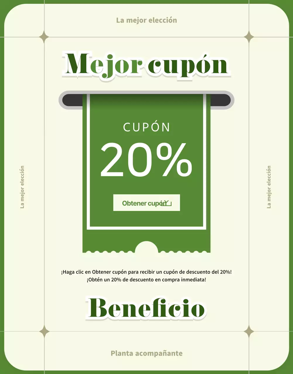 Suculentas verdes y beige detail page