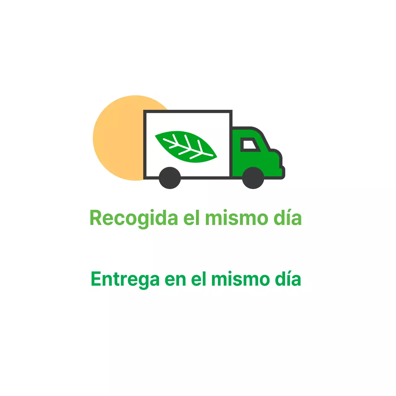 Recogida de productos el mismo día