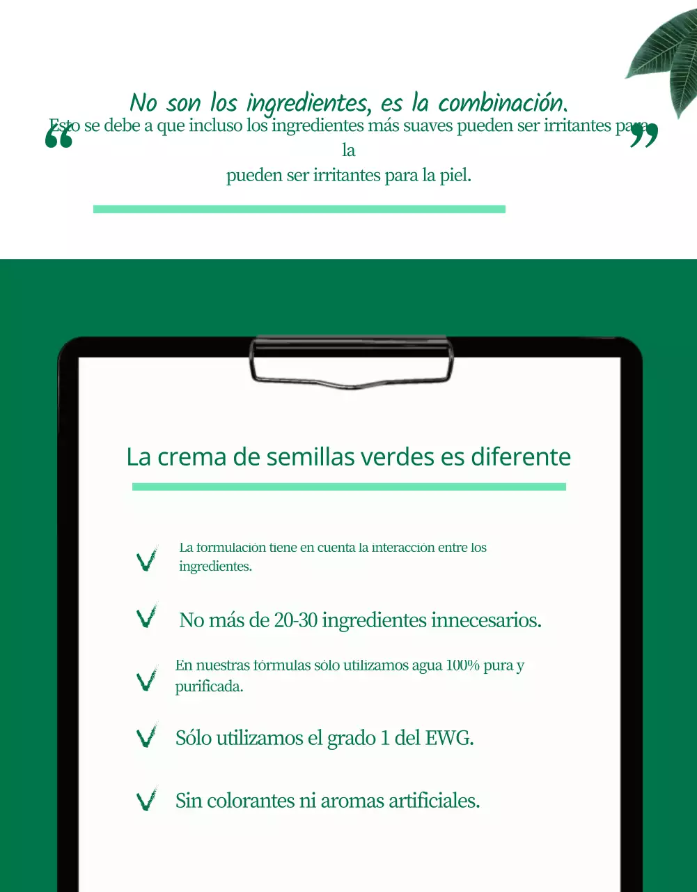 Wadiz Página detallada_Belleza