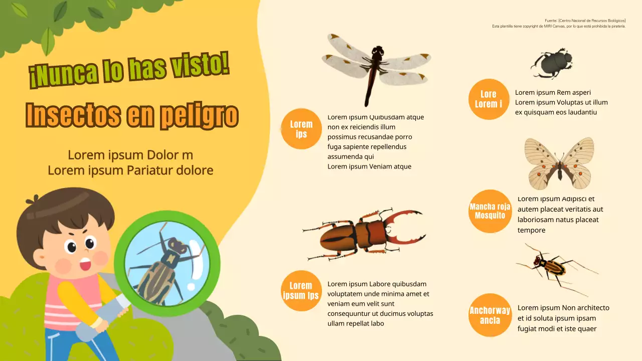 Infografía sobre los insectos en peligro de extinción