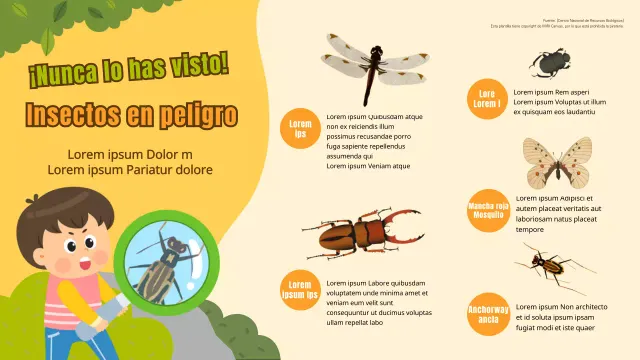 Infografía sobre los insectos en peligro de extinción