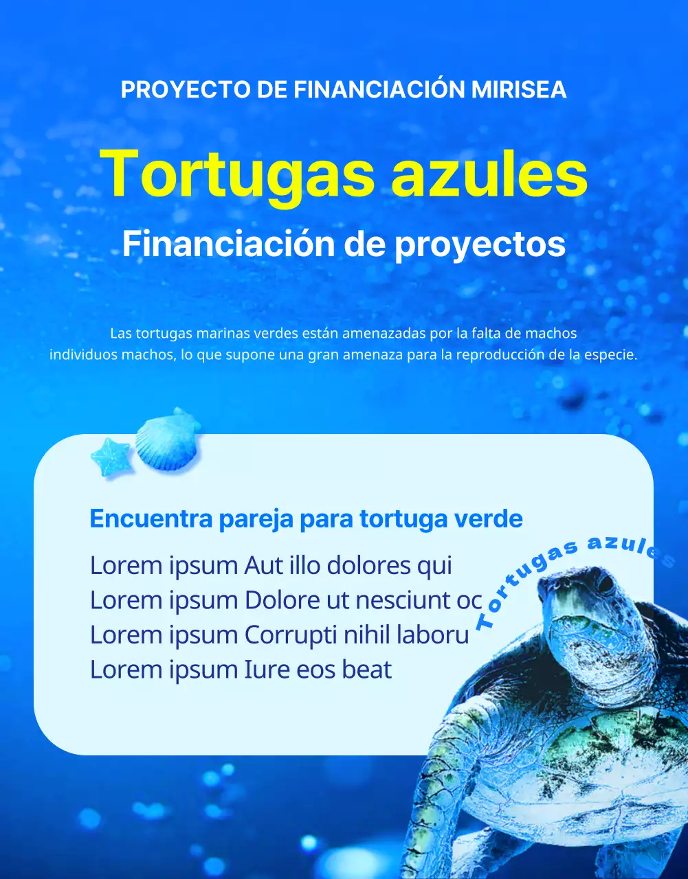 Financiación para la conservación de la tortuga boba azul y amarilla, una criatura de los arrecifes de barrera en peligro de extinción.