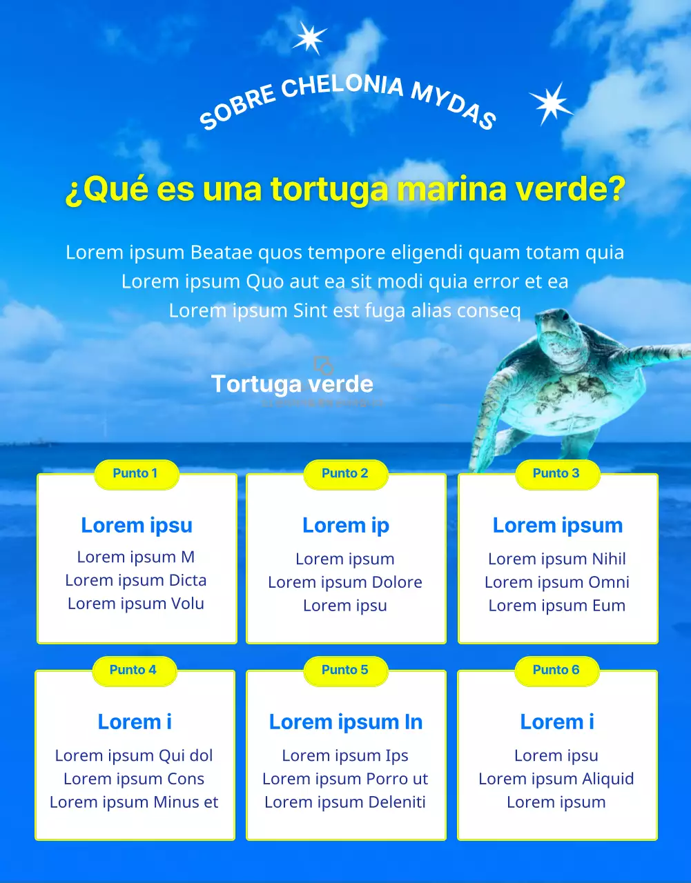 Financiación para la conservación de la tortuga boba azul y amarilla, una criatura de los arrecifes de barrera en peligro de extinción.