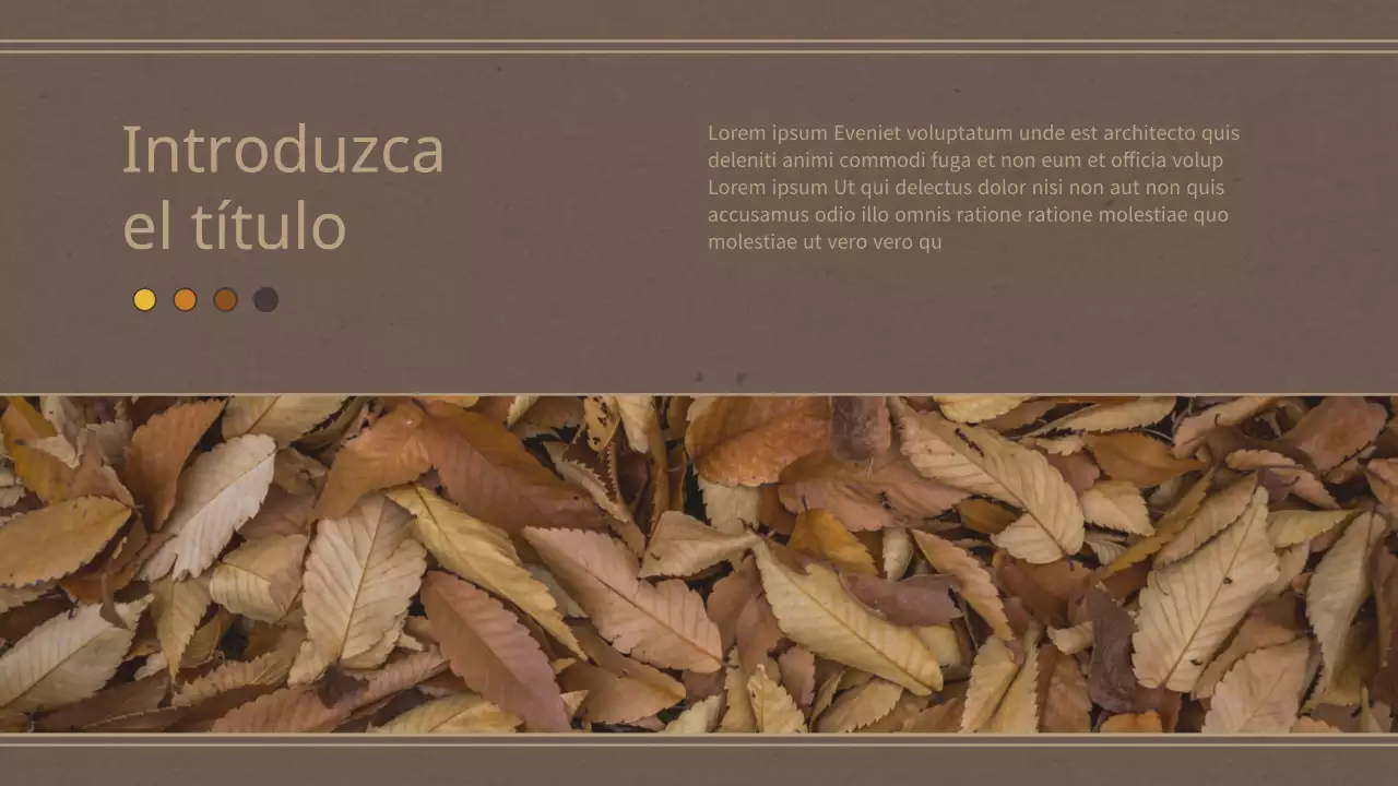 Tema de cartera con un concepto retro