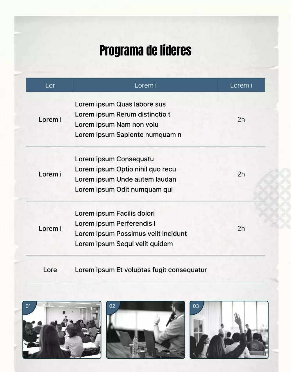 Guía de formación para el liderazgo azul y gris