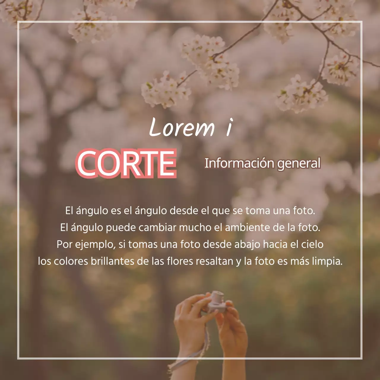 4 consejos para fotografiar la Fiesta de las Flores de Primavera en rosa Promoción de productos