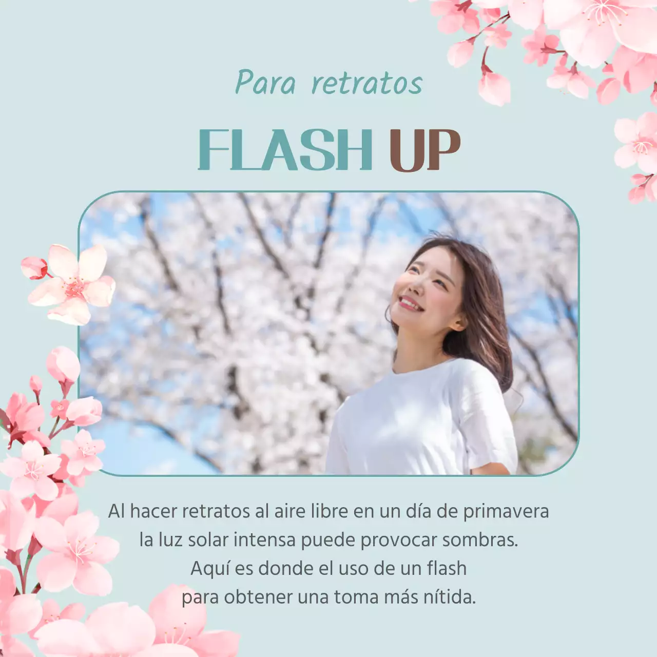 4 consejos para fotografiar la Fiesta de las Flores de Primavera en rosa Promoción de productos