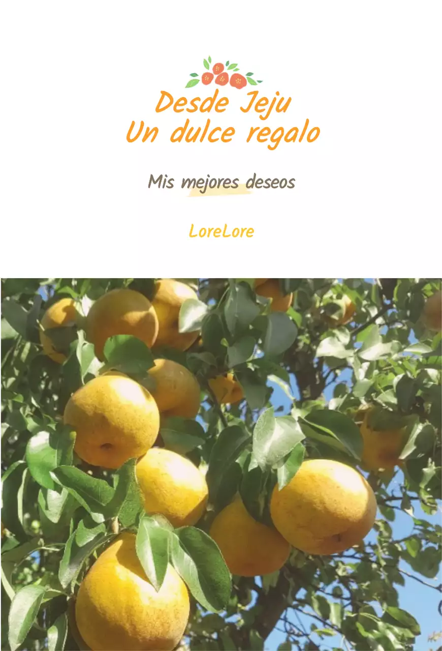 Postal de venta de naranjas amarillas de la isla de Jeju