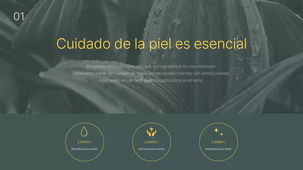 Guía de productos de belleza Green Black Tone