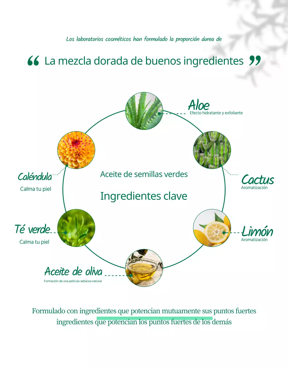 Wadiz Página detallada_Belleza