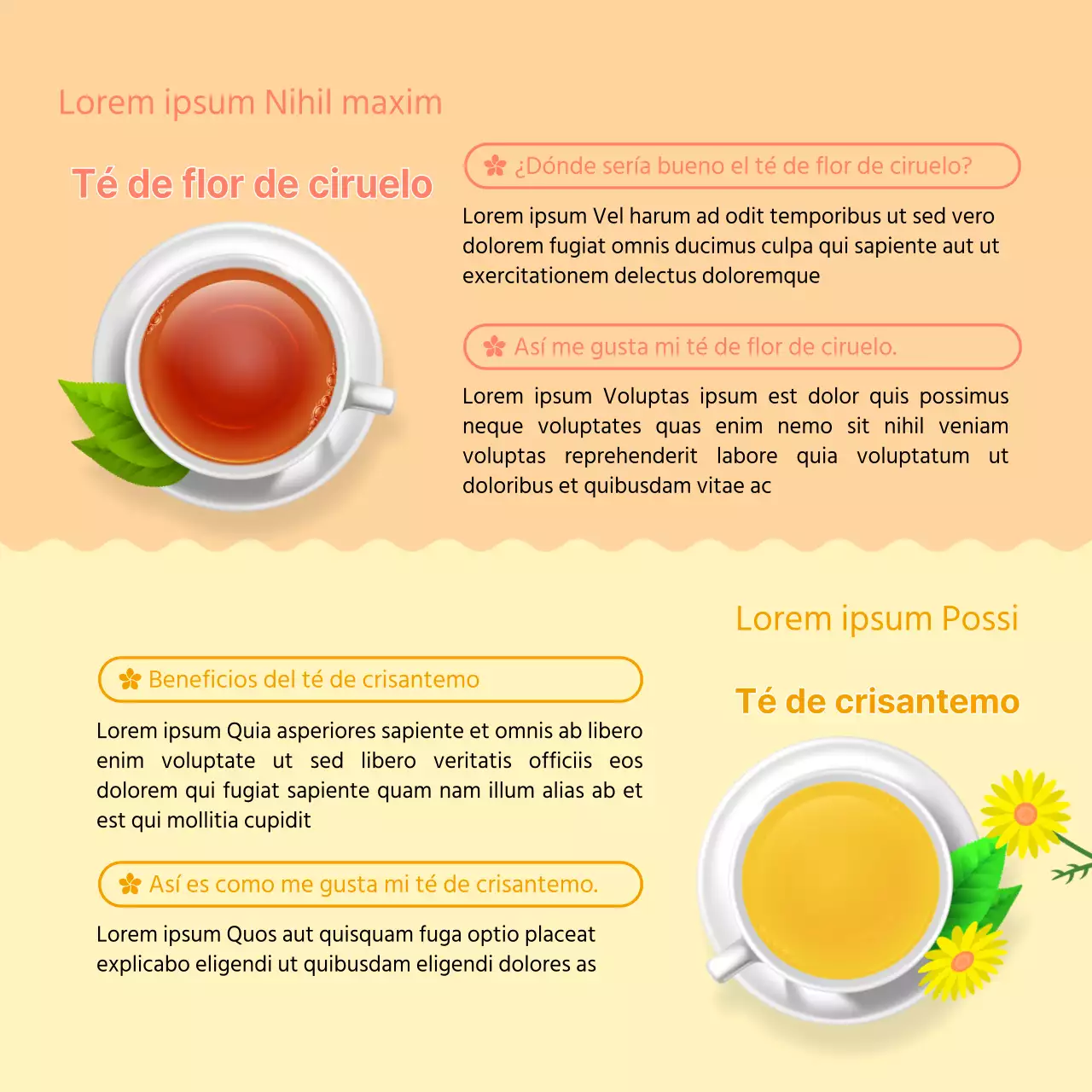 Ilustraciones frescas y amarillas informan sobre los tés de flores de primavera