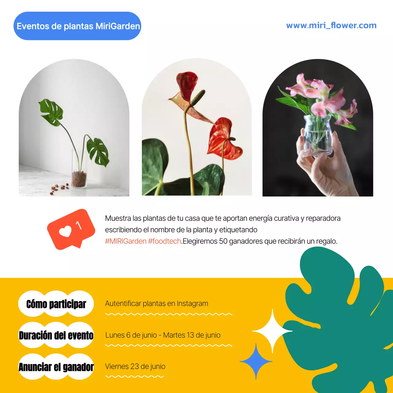 Coloridas propuestas de tecnología alimentaria