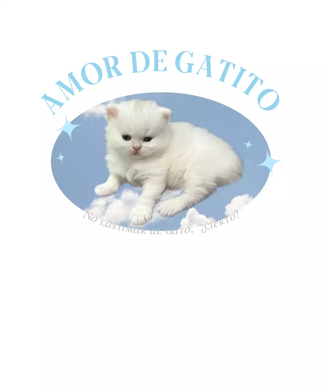 Lindo gato blanco con fondo de cielo