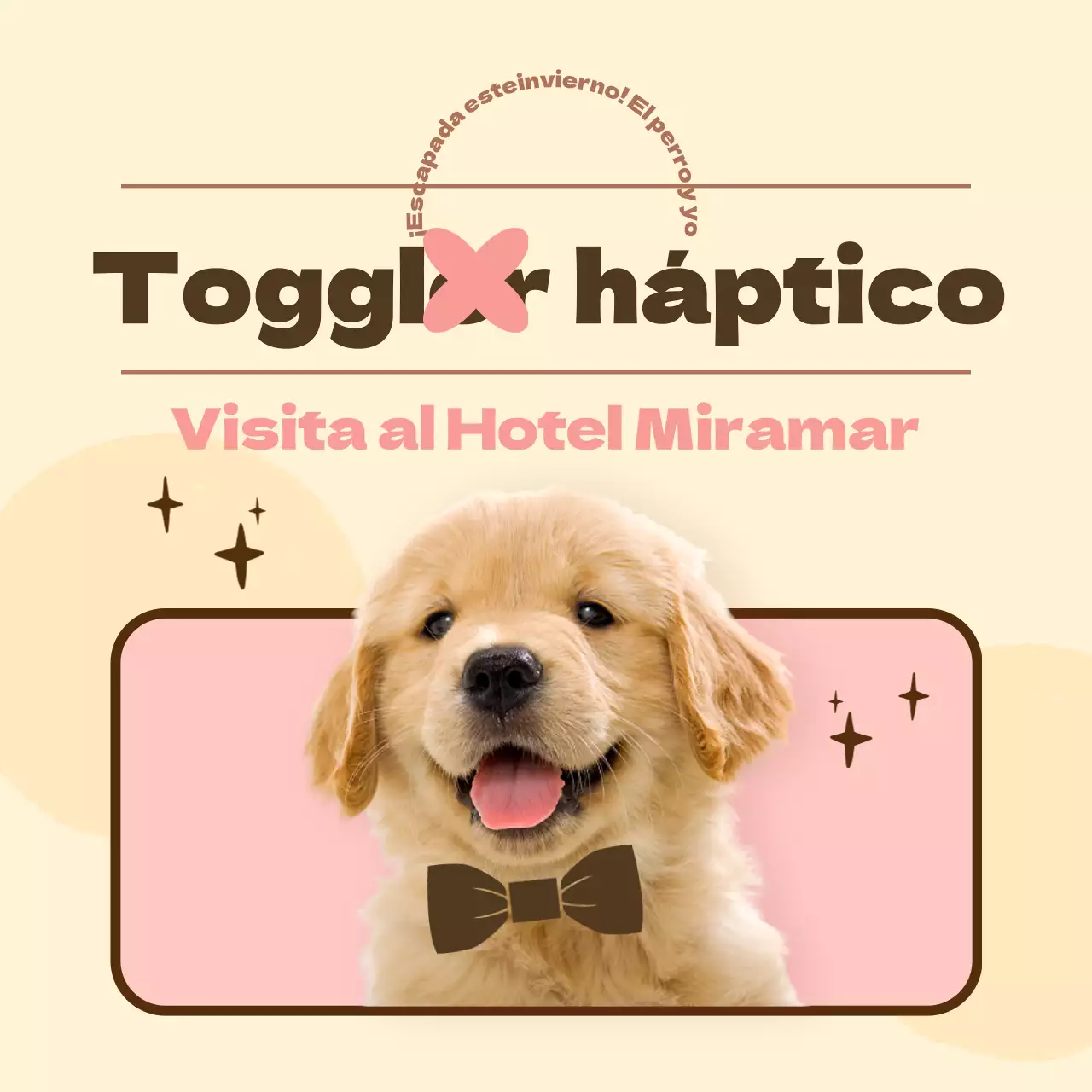 Promover un hotel para perros rosa, cálido y mimoso (CardNews)