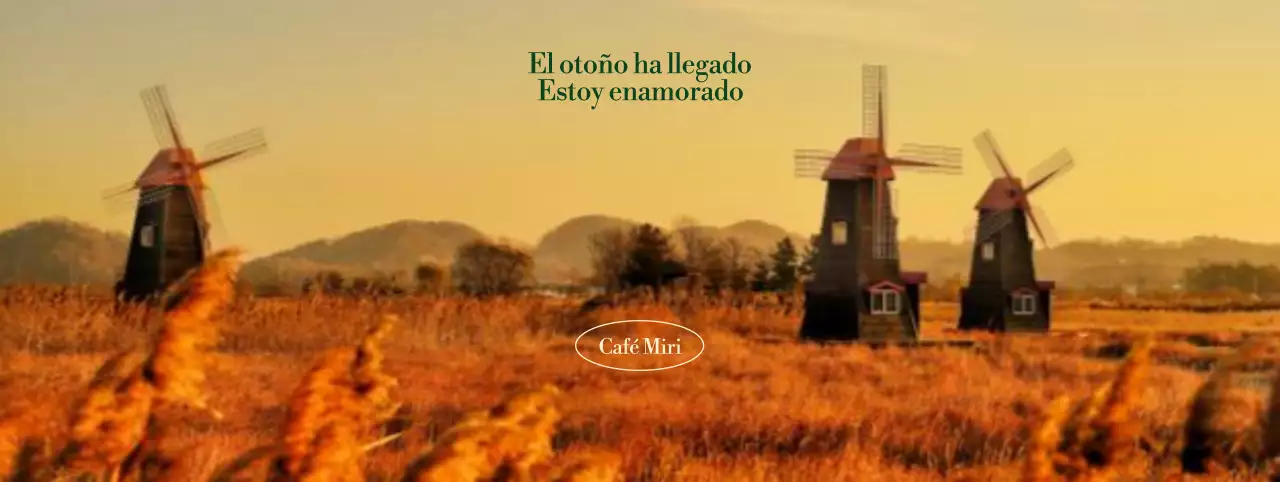 Vibraciones otoñales Una cafetería de ambiente otoñal, acentuada con una fuente limpia sobre un fondo de cañaverales y molinos de viento.