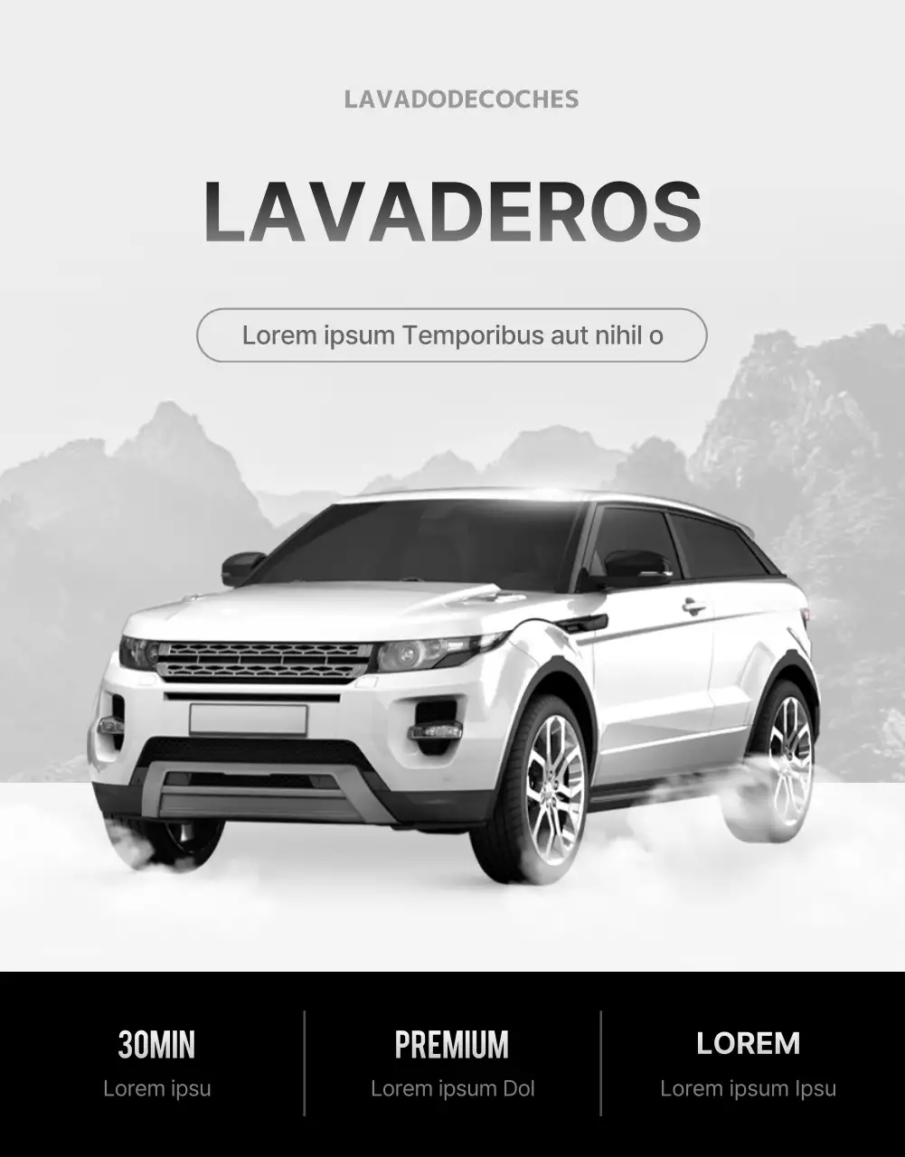 Lavado a mano de coches blancos y negros