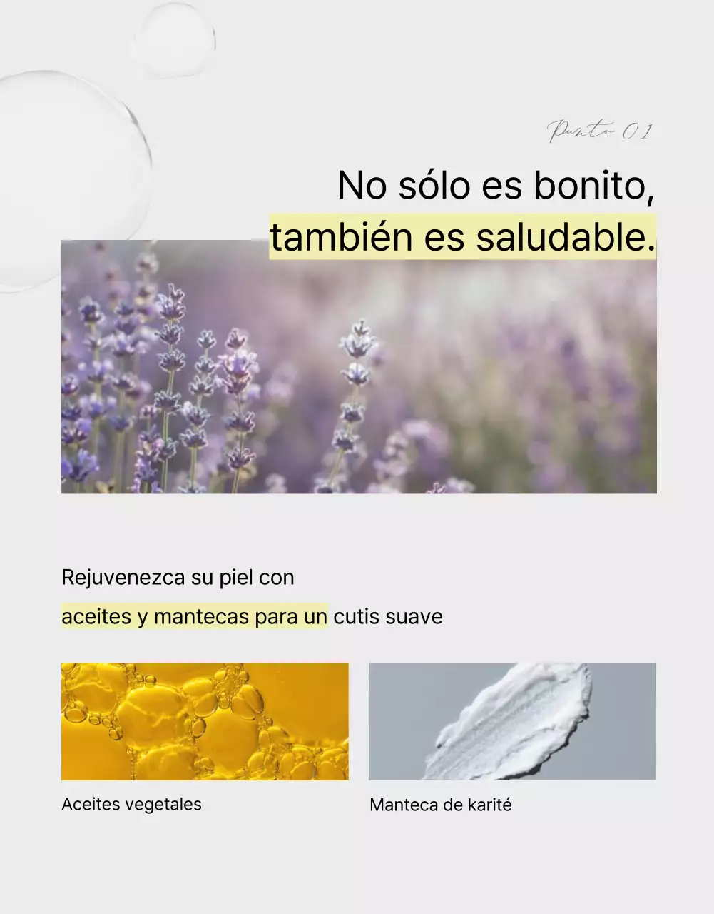 Página de venta de bombas de baño de aspecto natural con palmeras verdes