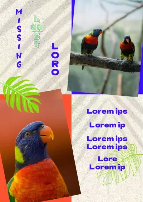 Folleto para encontrar un simpático loro azul anaranjado 1