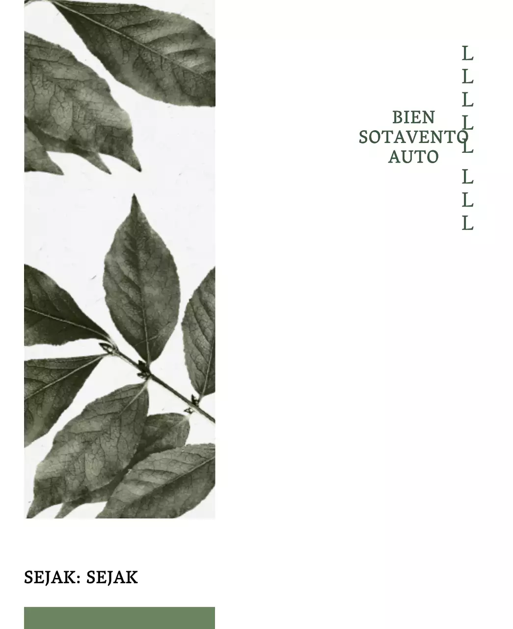 Diseño tradicional de té en verde y negro con relajantes fotos de plantas y tinta