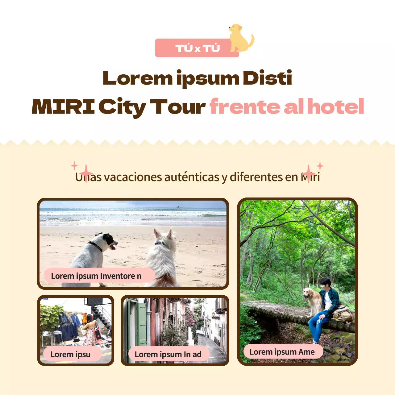 Promover un hotel para perros rosa, cálido y mimoso (CardNews)