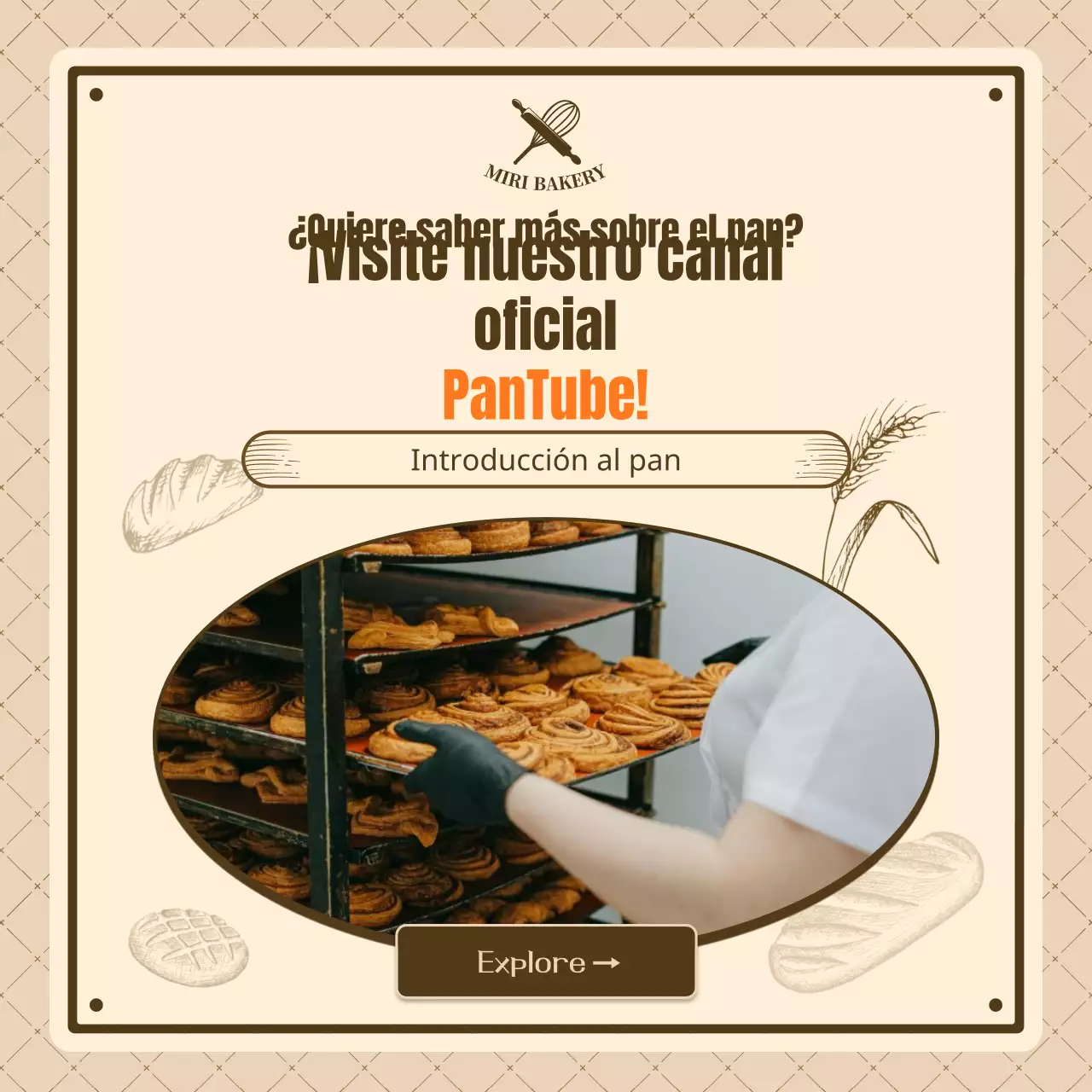 Conozca sus panes vintage marrones y beige