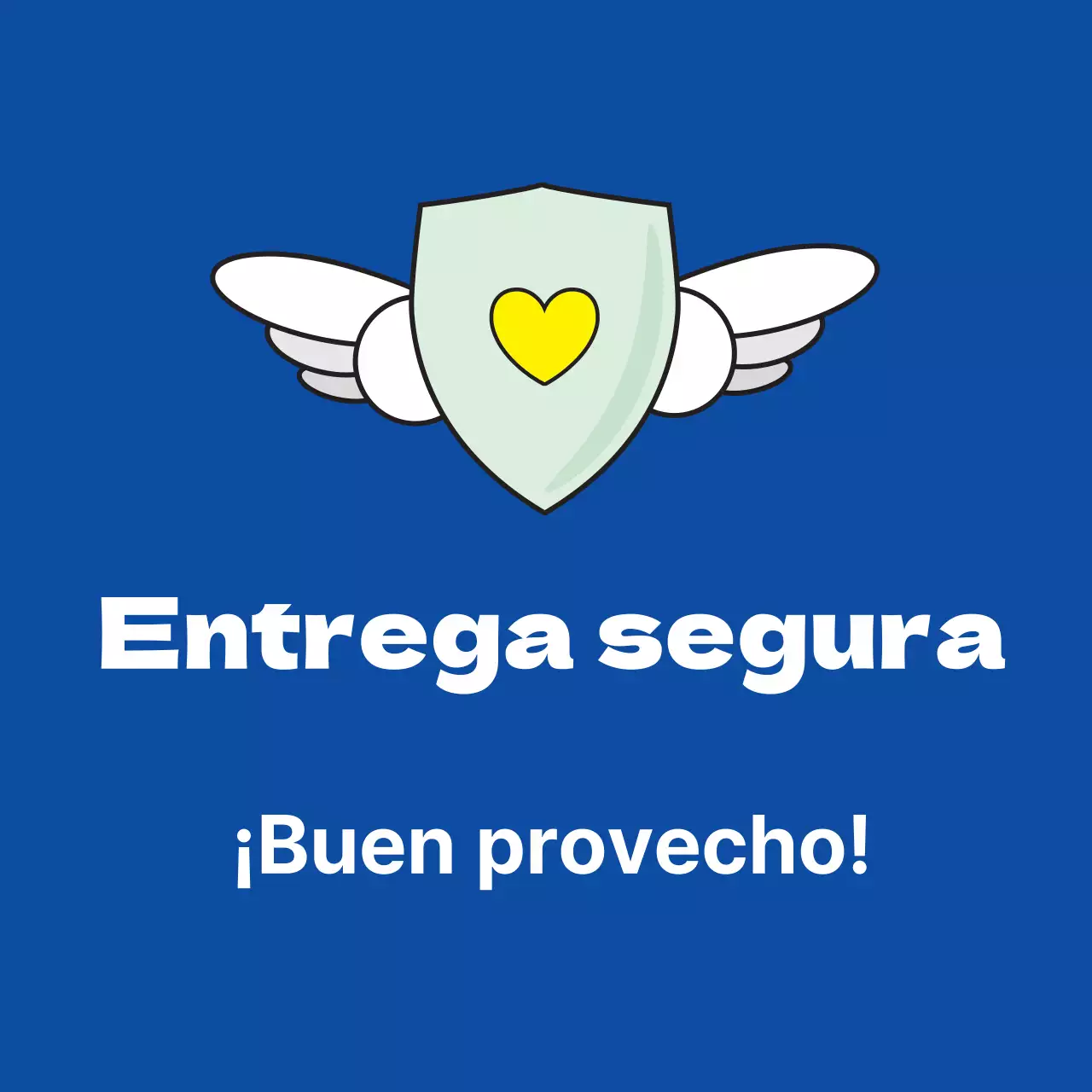 45207_Entrega segura