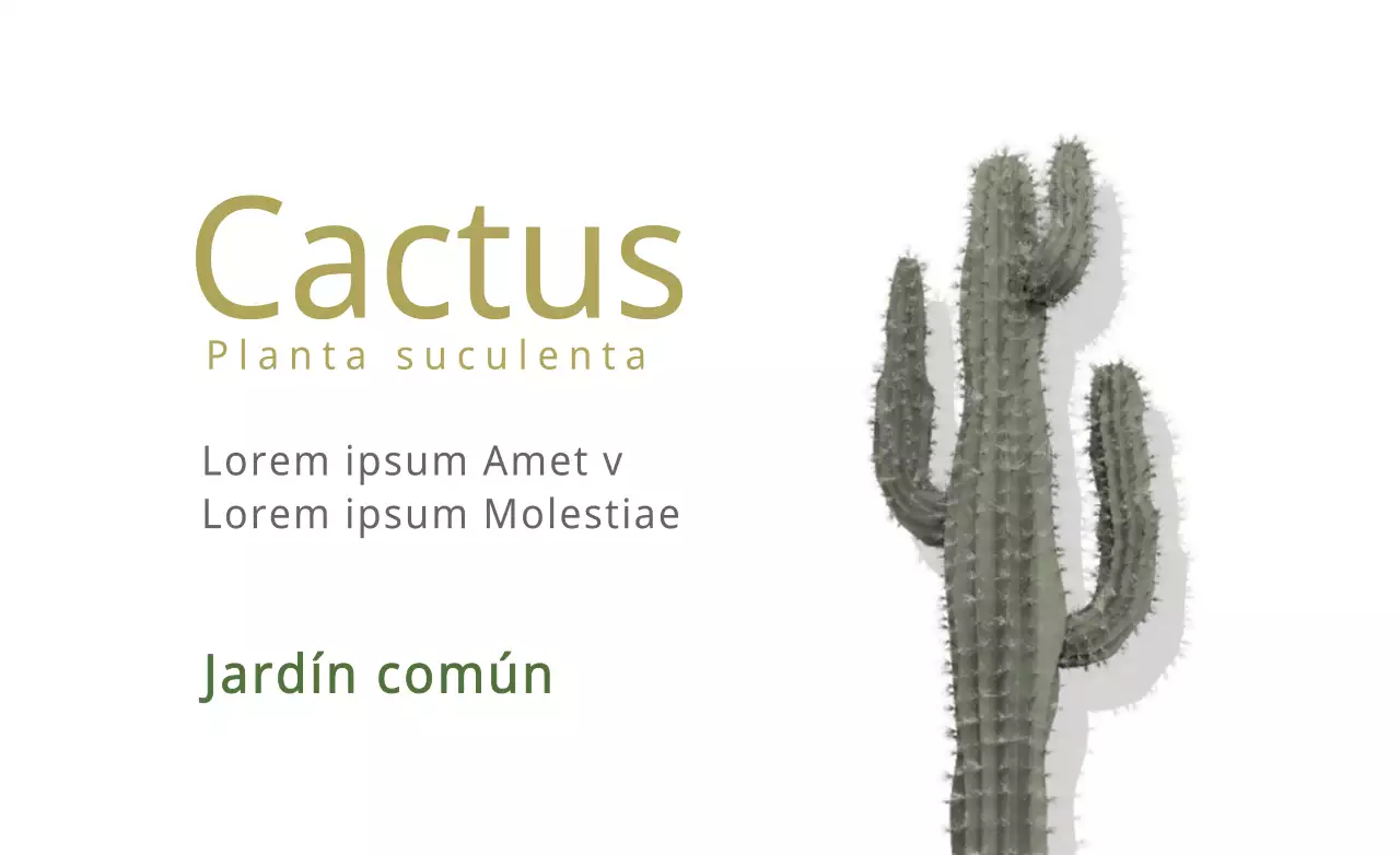 Cactus