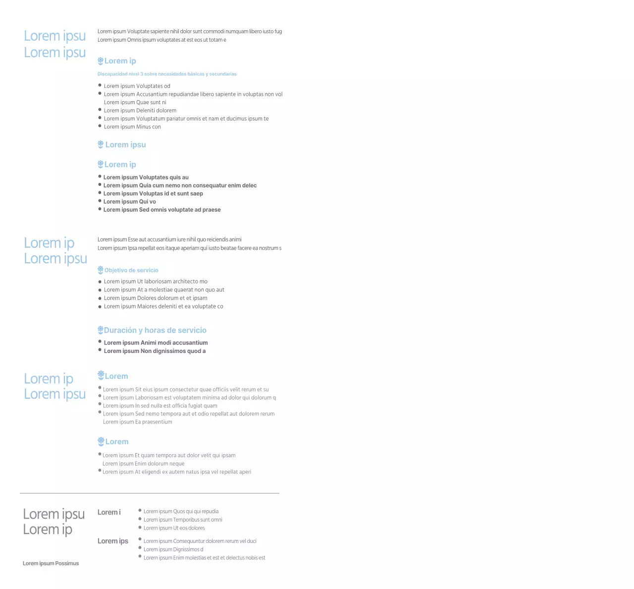 Acerca del programa Sky Blue Helper Business Welfare Centre