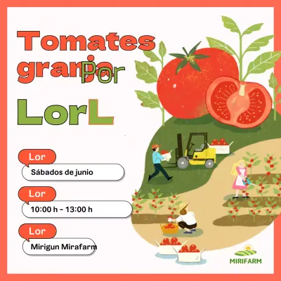 Presentamos la experiencia de la granja de tomates ilustrada con naranjas
