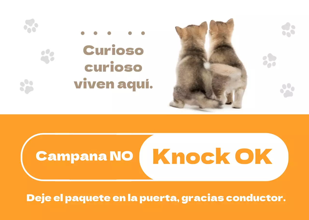 Orange Cute Puppy Dog Home