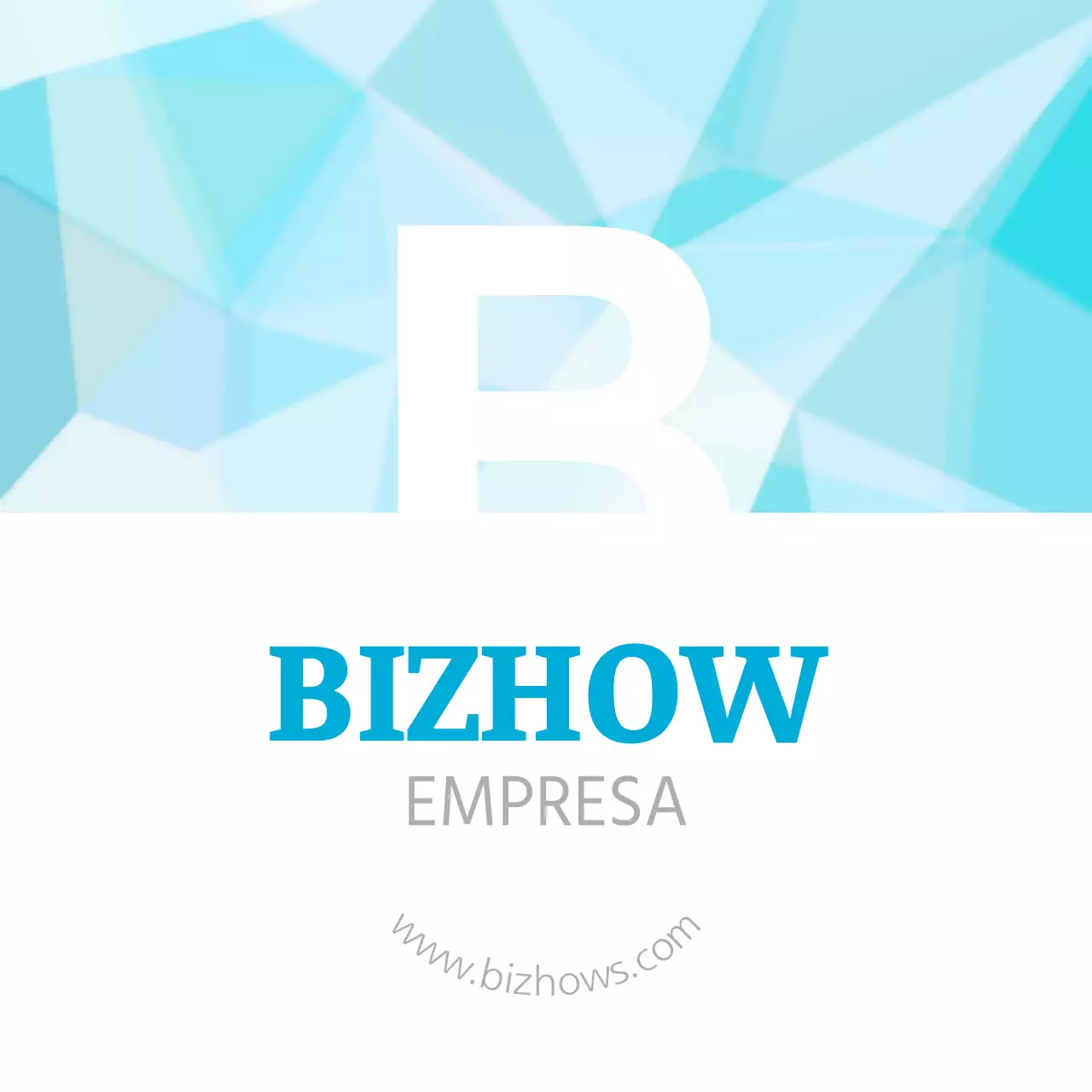 BIZHOWS
