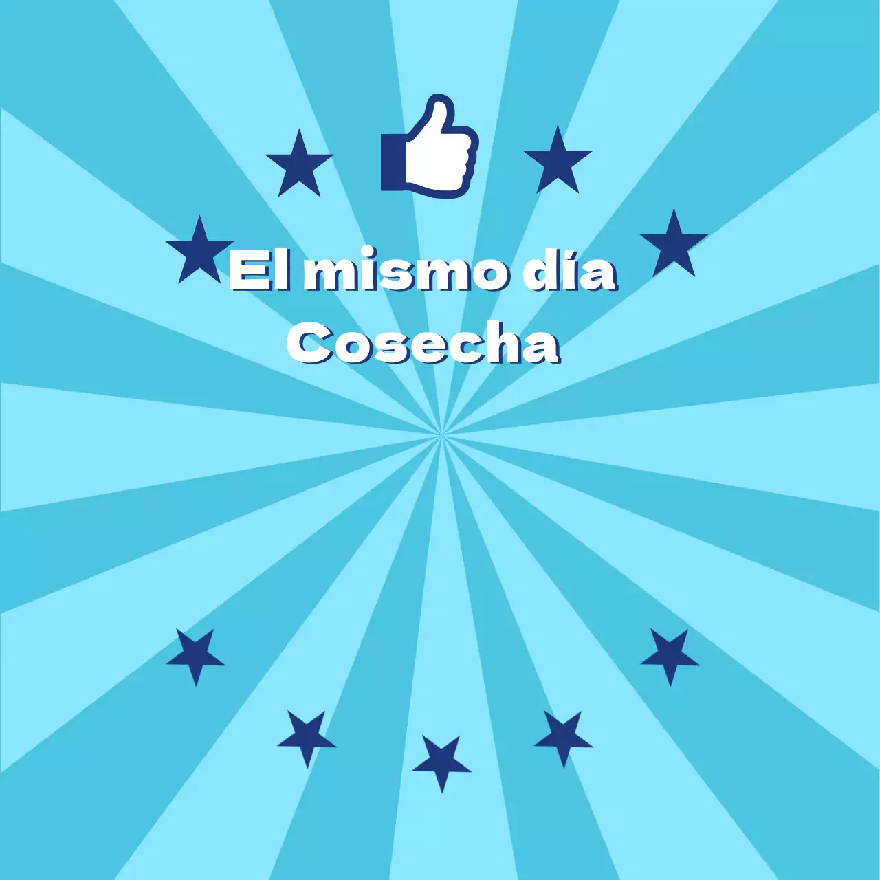 Recogida el mismo día