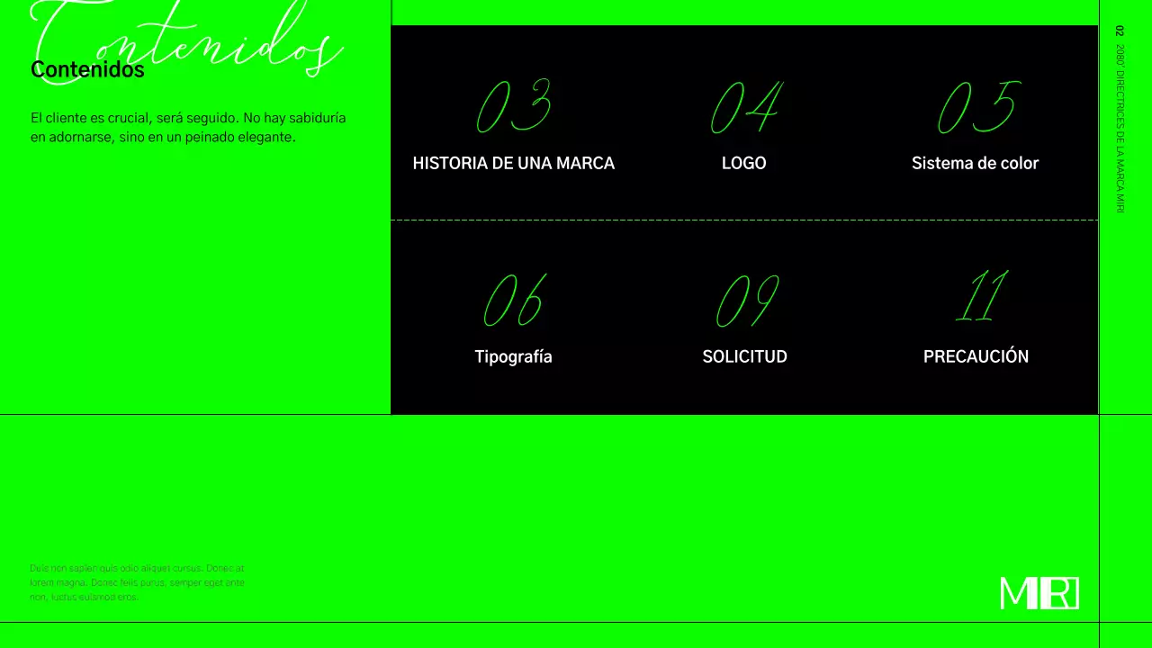 Directrices de identidad de la marca en formato cuadriculado verde lima y negro