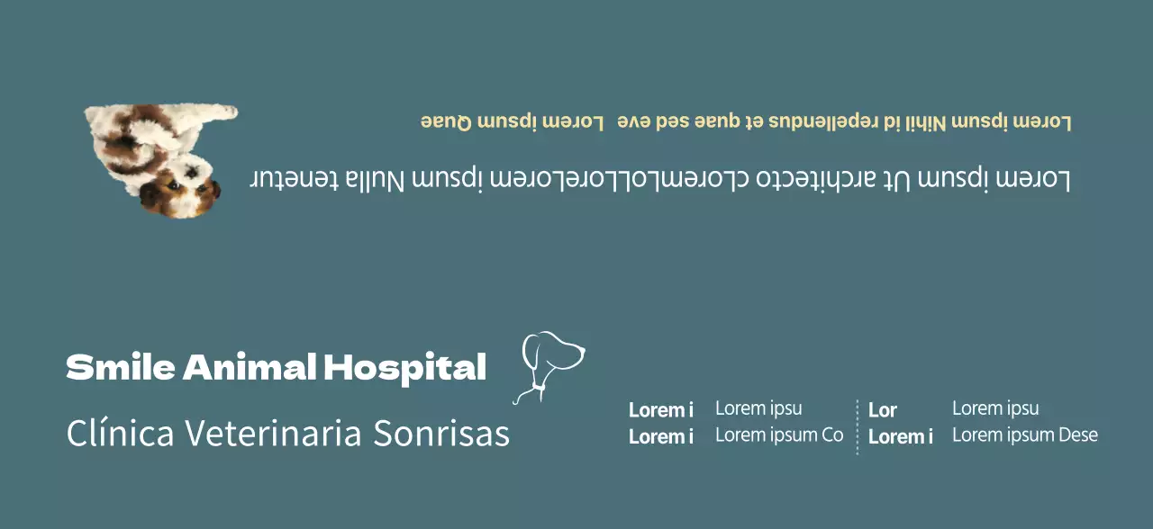 Concepto de horario de clínica veterinaria turquesa