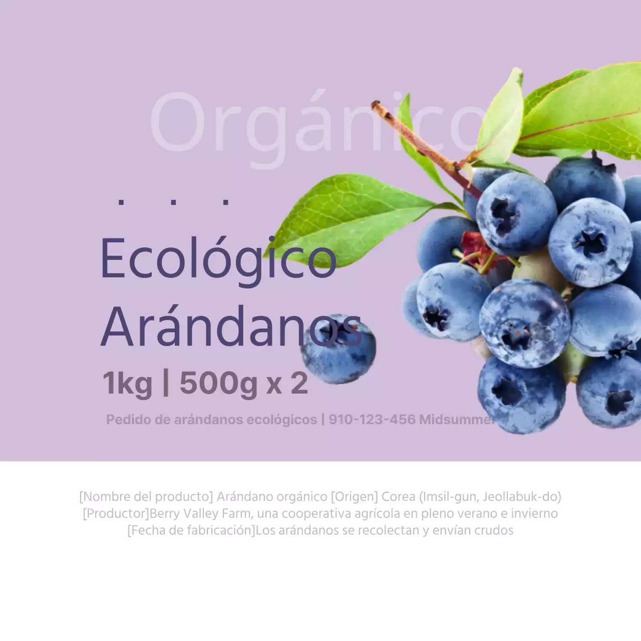 Arándanos ecológicos