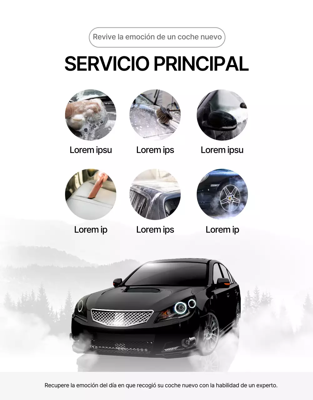 Lavado a mano de coches blancos y negros