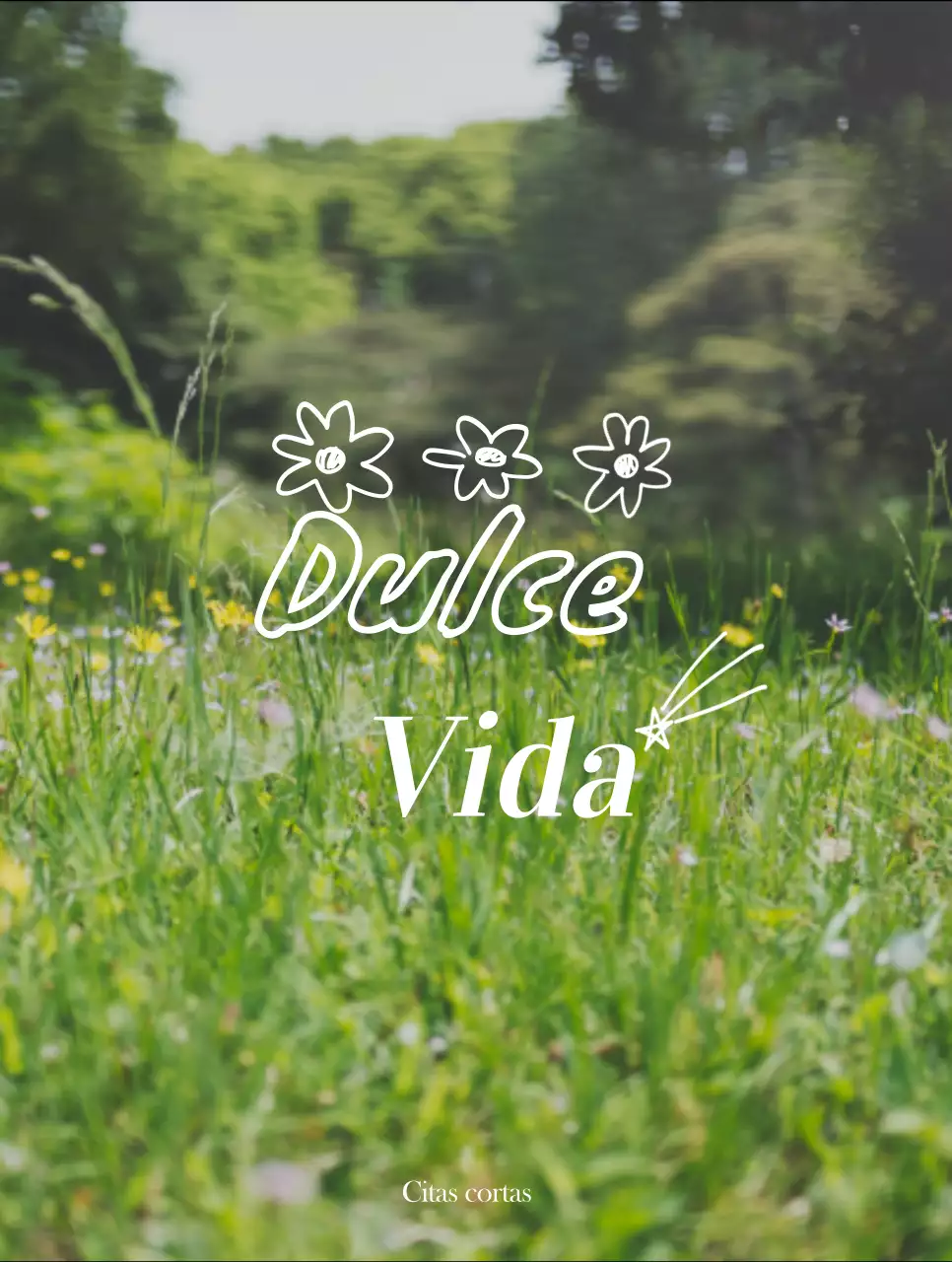 Mercancía con emotivas fotos de paisajes en blanco y amarillo y textos emotivos