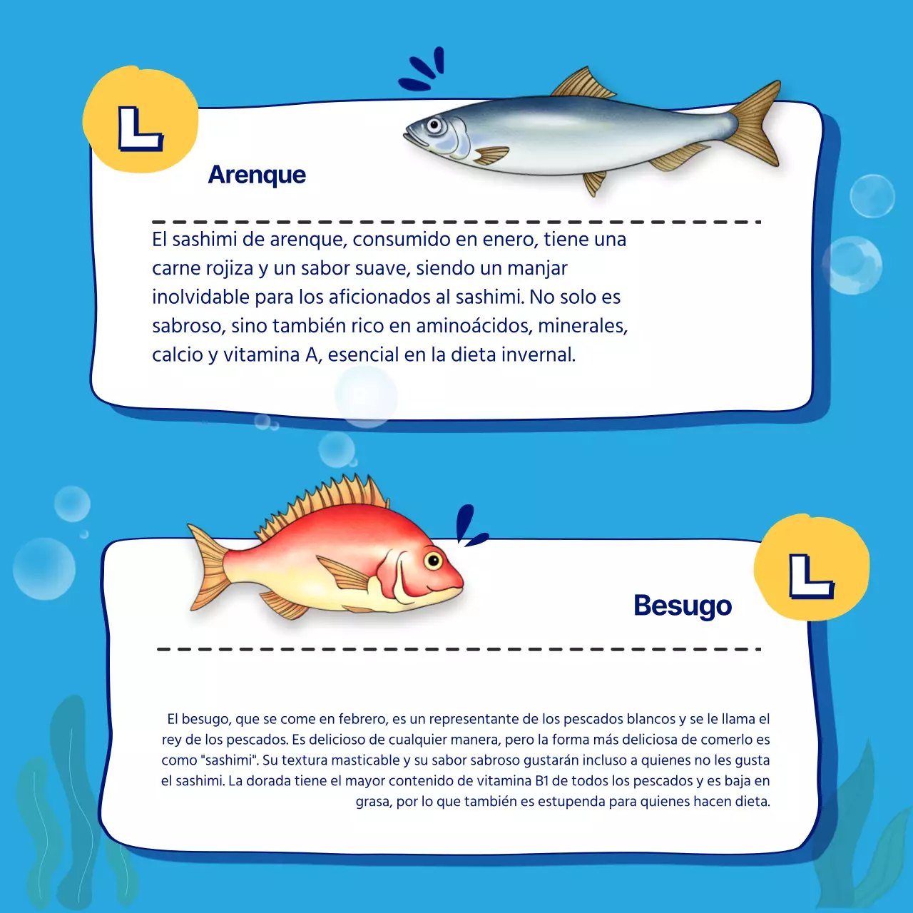 Guía mensual de sashimi de temporada en azul CardNews