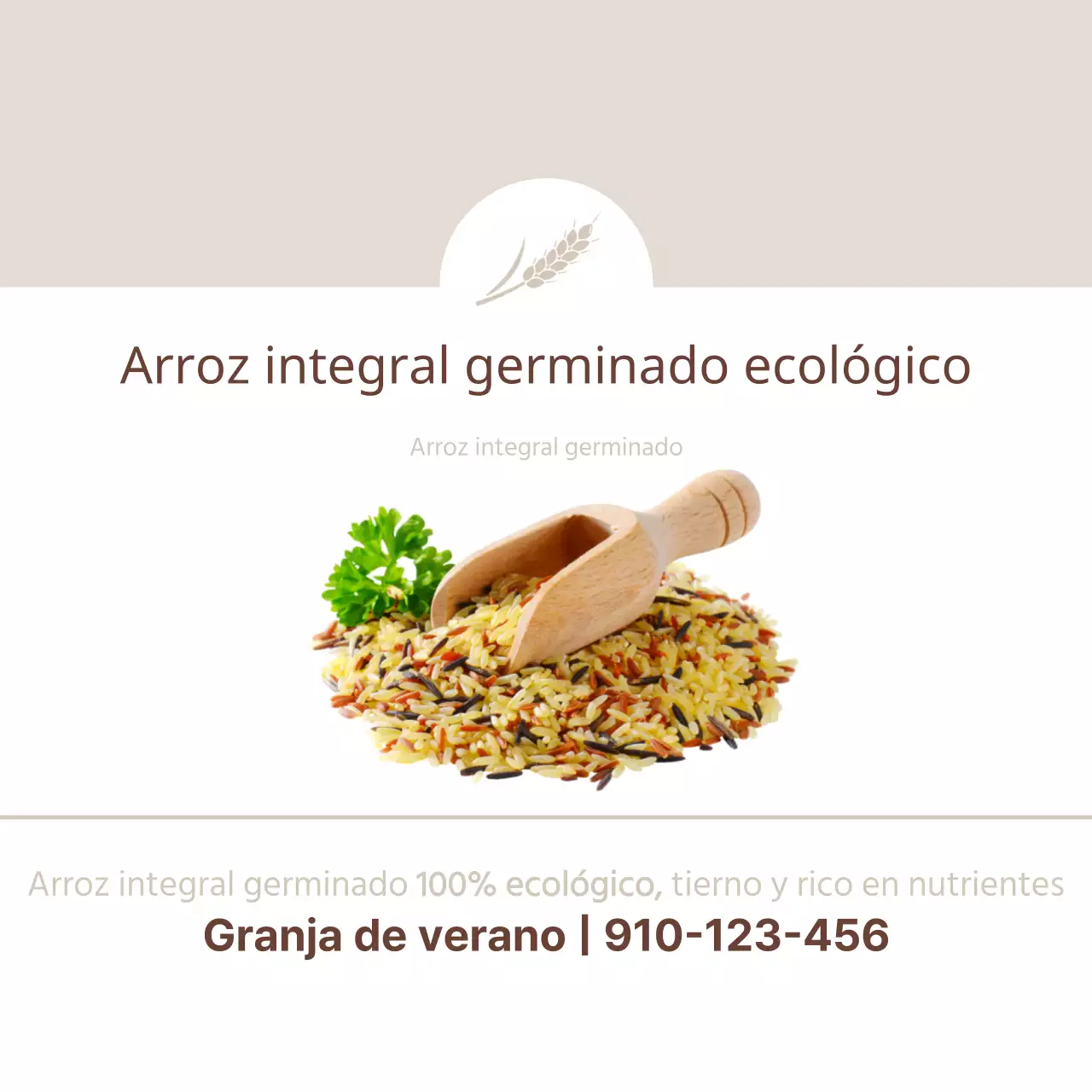 Arroz integral germinado