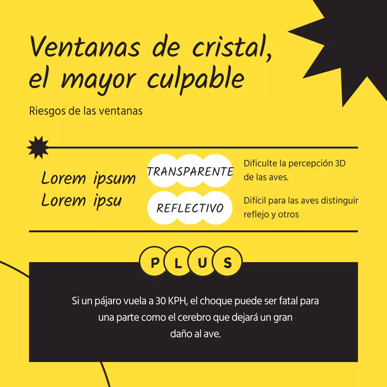 Consigue un sencillo pájaro salvaje en negro y amarillo