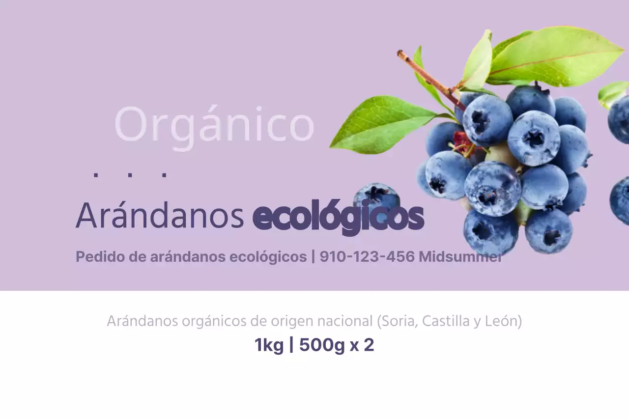 Arándanos ecológicos