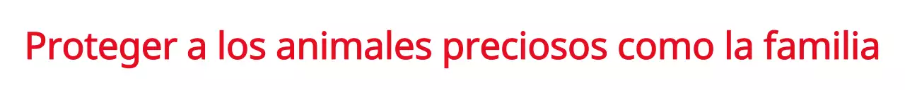 Promoción de un acto con un concepto de sociedad protectora de animales en rojo.